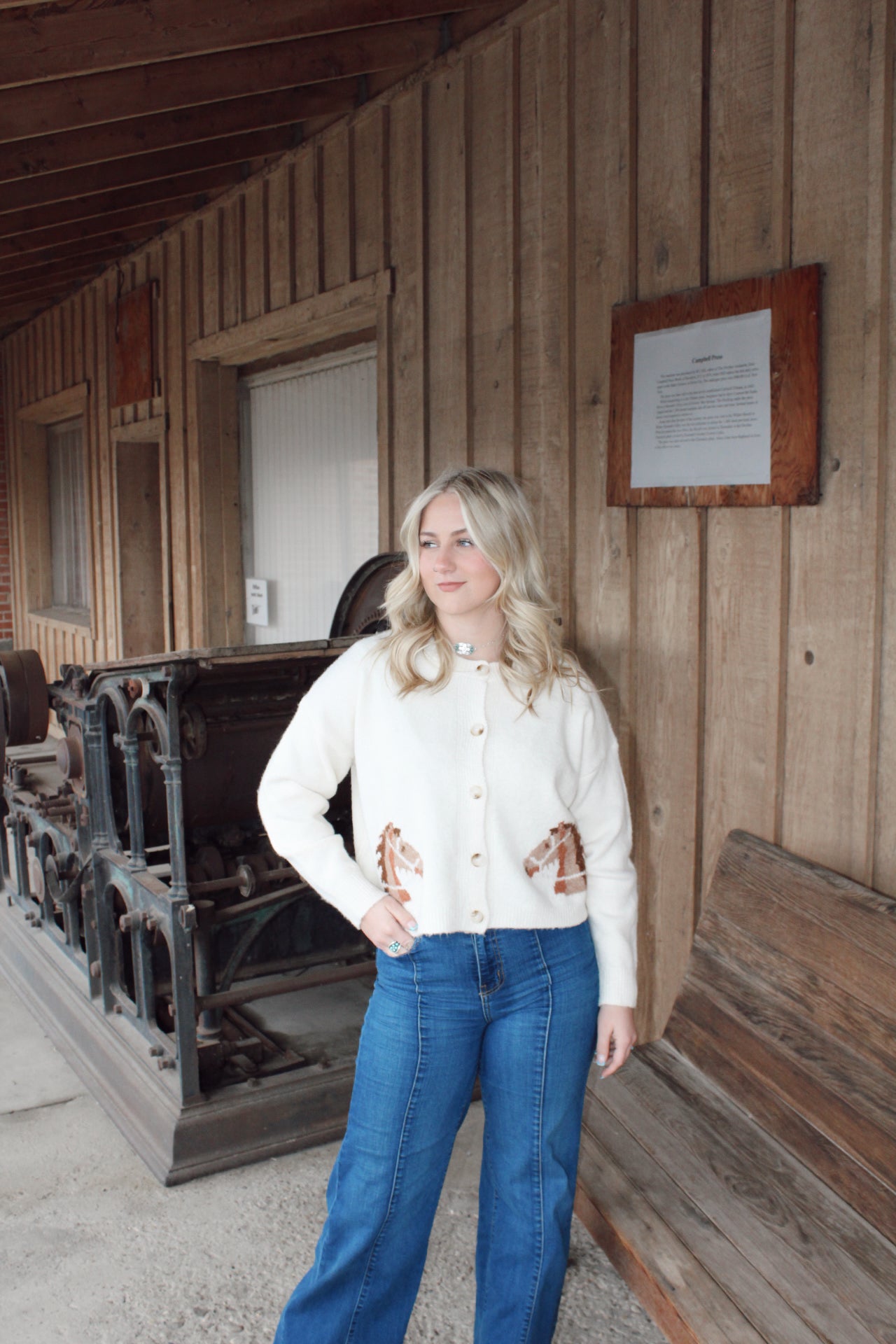 Equestrian Dream Cardigan