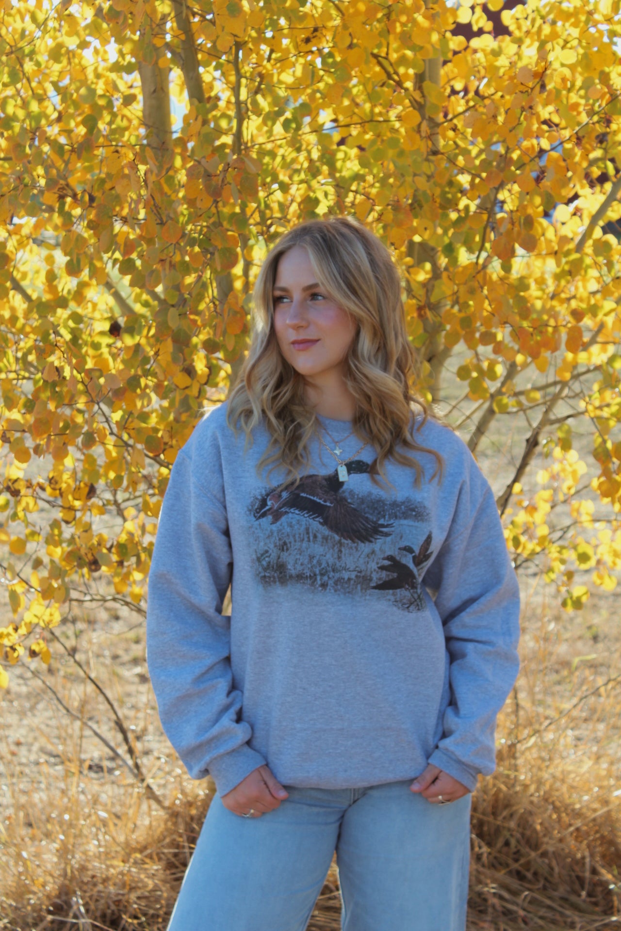 Autumn Flight Sweater