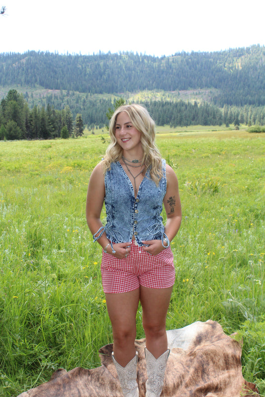 Americana Gingham Boxer Shorts