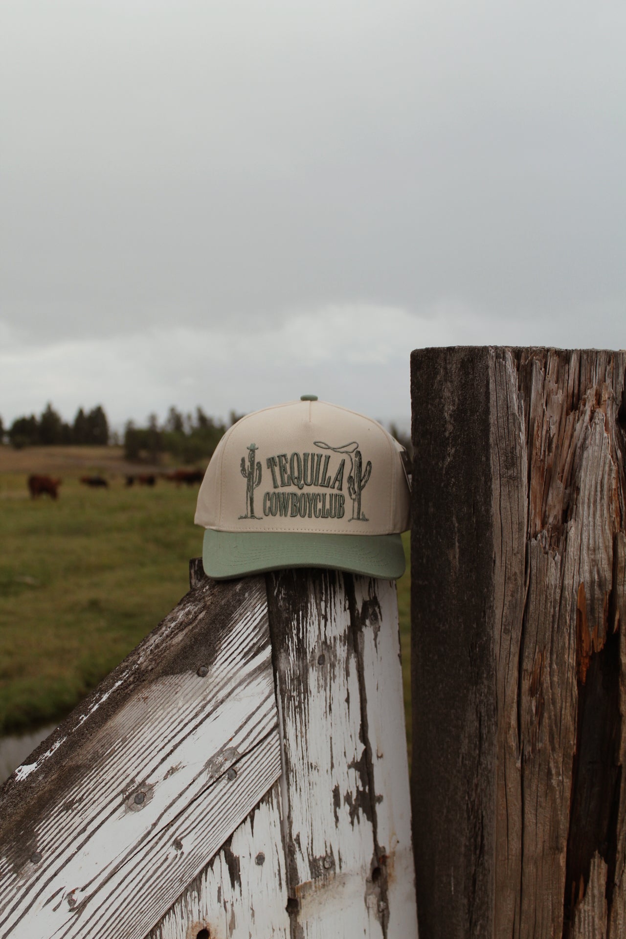 Tequila Cowboy Club Hat
