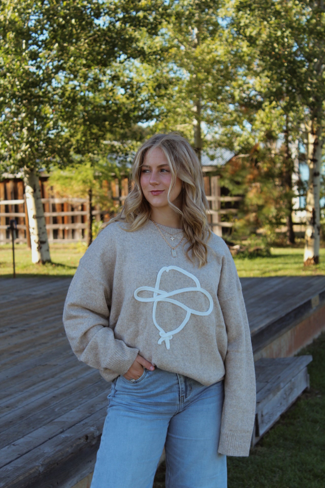 Cowboy Sketch Sweater