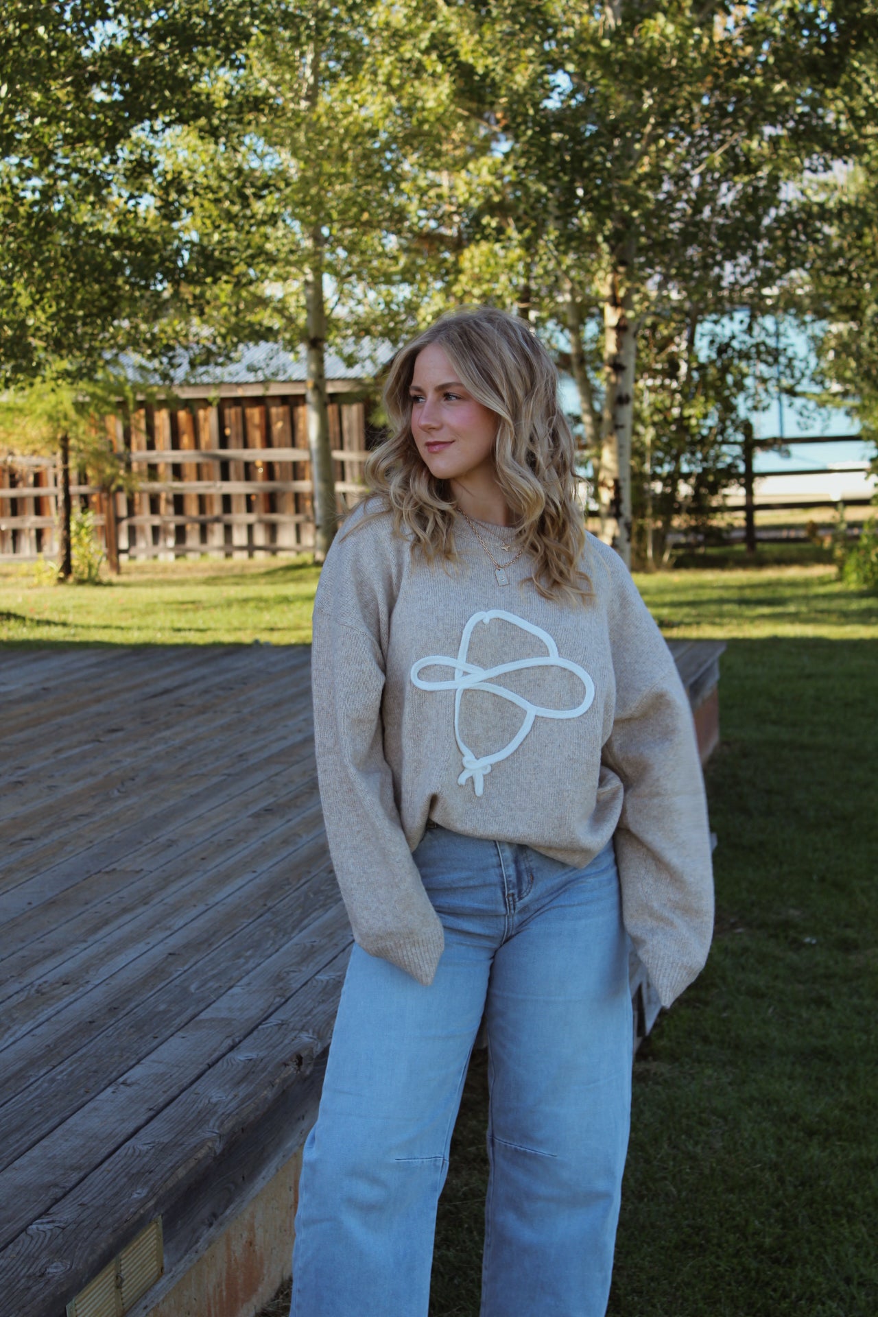 Cowboy Sketch Sweater