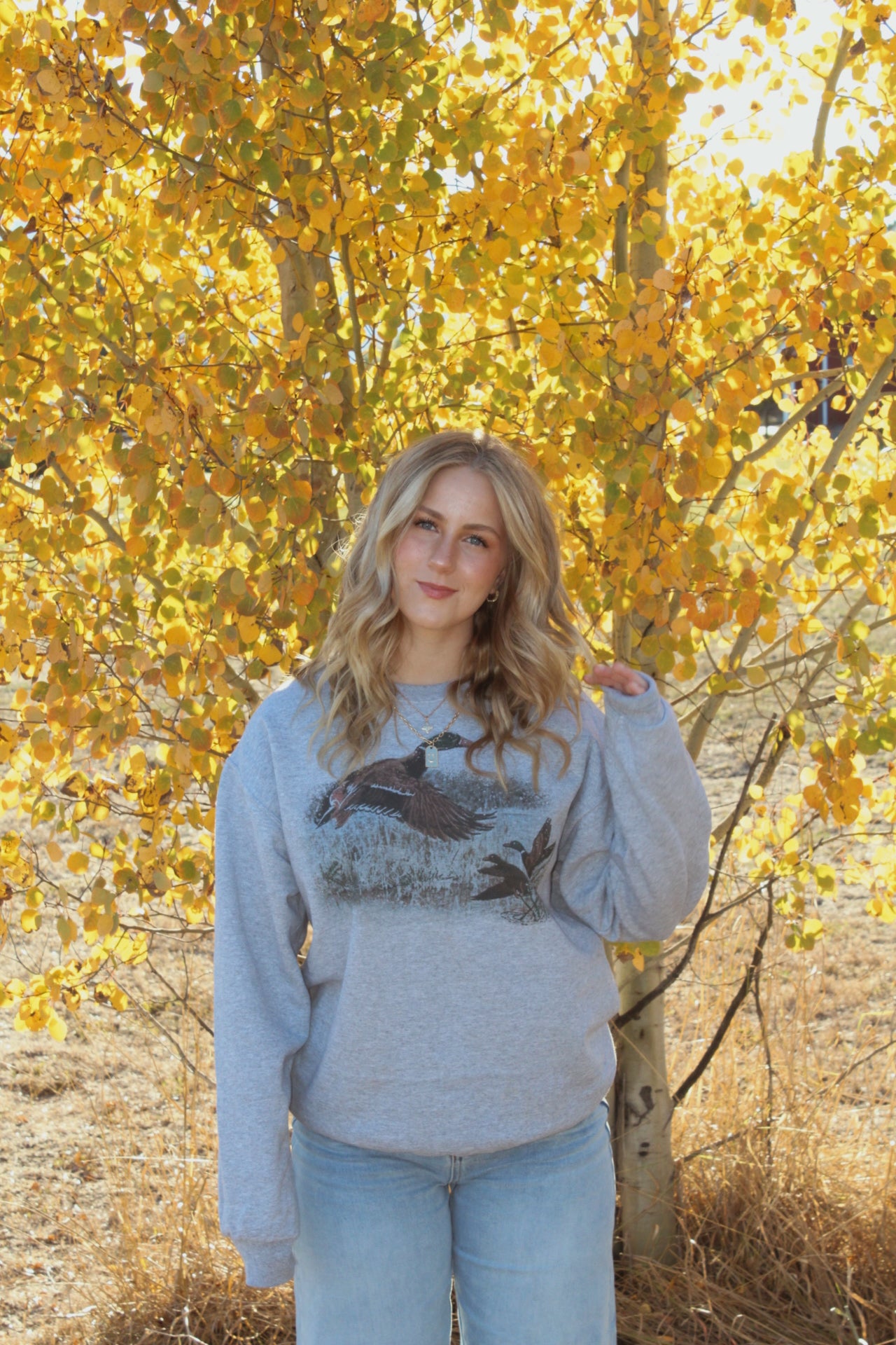 Autumn Flight Sweater