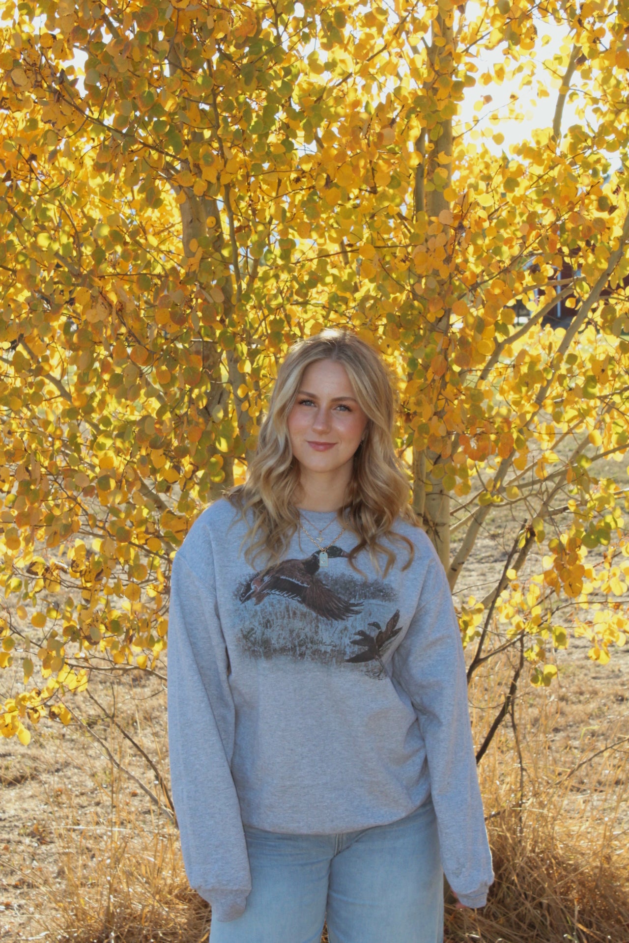 Autumn Flight Sweater